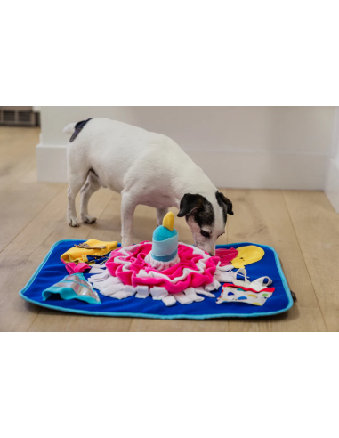 PLAY Snuffle Mat - Celebration