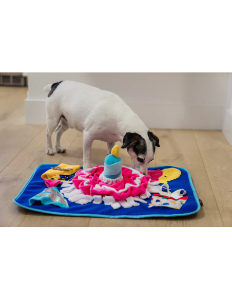 PLAY Snuffle Mat - Celebration