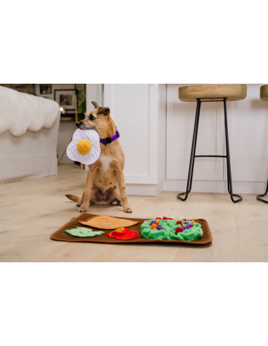 Snuffle Mat - Savory Sunrise