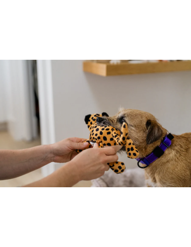 PLAY Big Five of Africa Collection - Leopard