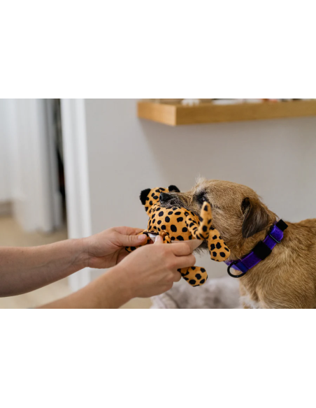 PLAY Big Five of Africa Collection - Leopard