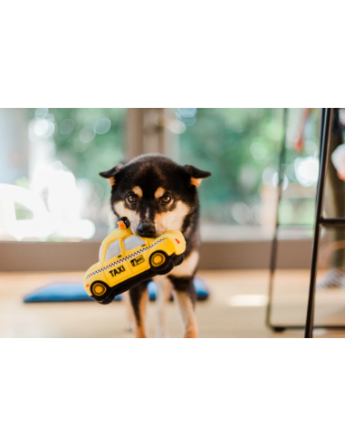 PLAY Canine Commute - New Yap City Taxi