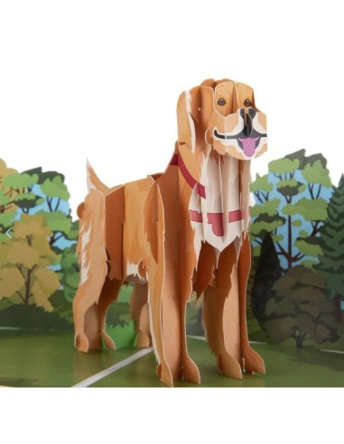 Golden Retriever : Pop-Up Cards - Golden Retriever