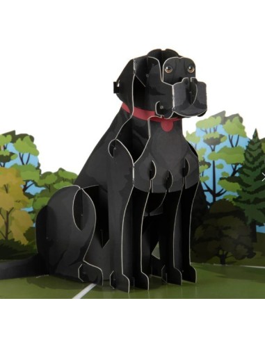 Golden Retriever : Pop-Up Cards - Zwarte Labrador