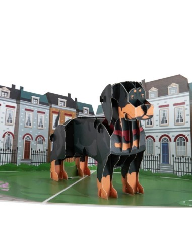 Golden Retriever : Pop-Up Cards - Dachshund