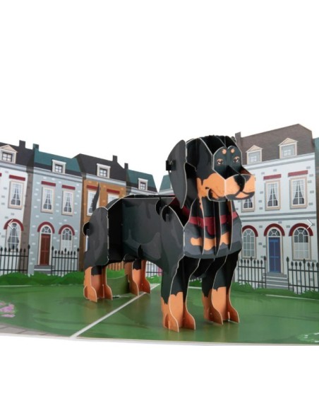 Golden Retriever : Pop-Up Cards - Dachshund