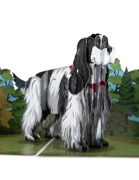 Golden Retriever : Pop-Up Cards - Cocker Spaniel