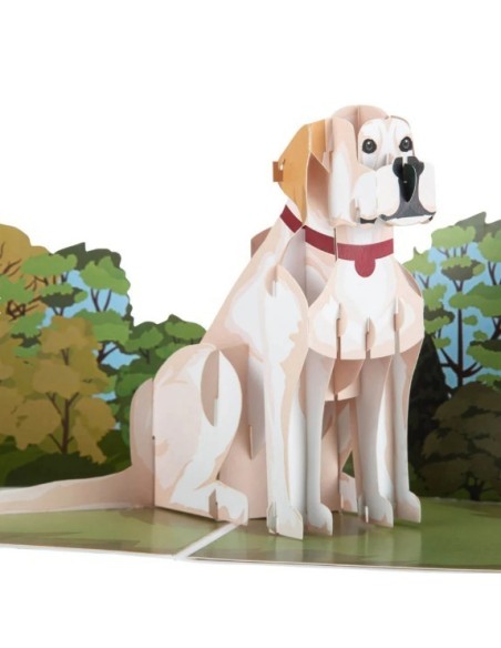 Golden Retriever : Pop-Up Cards - Cream Labrador