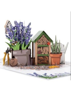Hummingbird & Lupine : Pop-Up Cards - Lavender