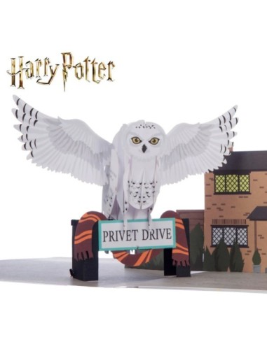 Dobby : Pop-Up Cards - Hedwig