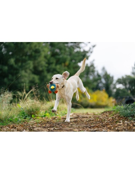 PLAY Barnyard Buddies - Dana the Duck