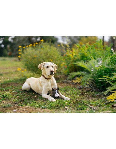PLAY Barnyard Buddies - Harley the Horse