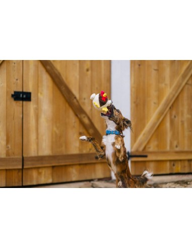 P.L.A.Y Barnyard Buddies Ryan the Rooster