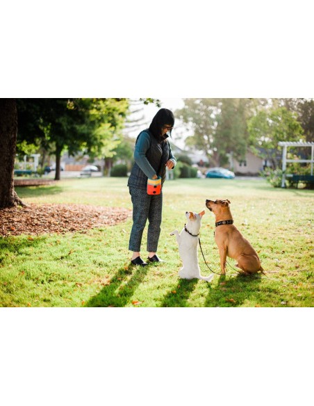 PLAY Scout & About - Deluxe Treat Pouch - Sunrise