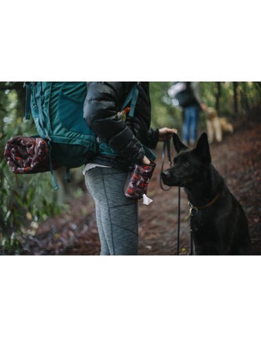 PLAY Scout & About - Deluxe Treat Pouch - River