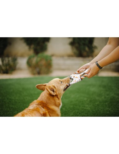 Outdoor Toy_Scout & About - Flying Disc - Mocha_S