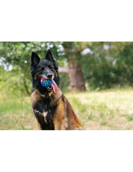 PLAY Go-Go Astro Ball - Lunar