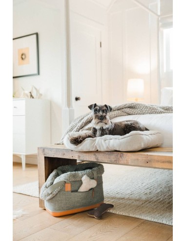 PLAY GRAY DELUXE DOG CARRIER