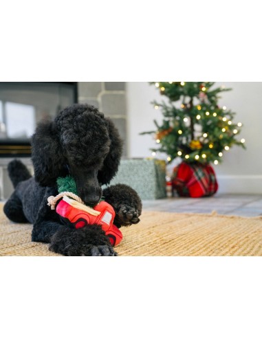 PLAY Home for the Holidays - Red Truck