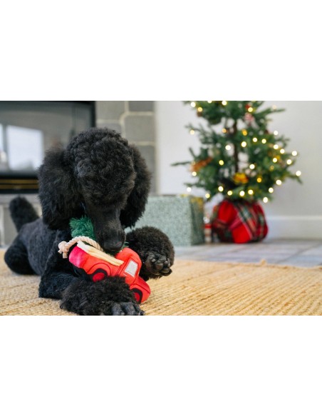 PLAY Home for the Holidays - Red Truck