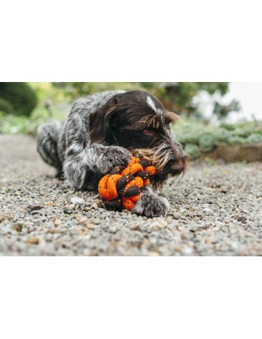PLAY Rope Toy_Scout & About_Honeycomb_S