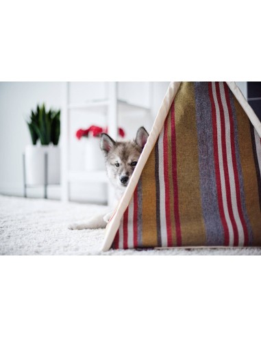 Teepee_Horizon _ Desert_U