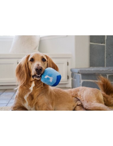 PLAY Paw-nukkah - Dreidel