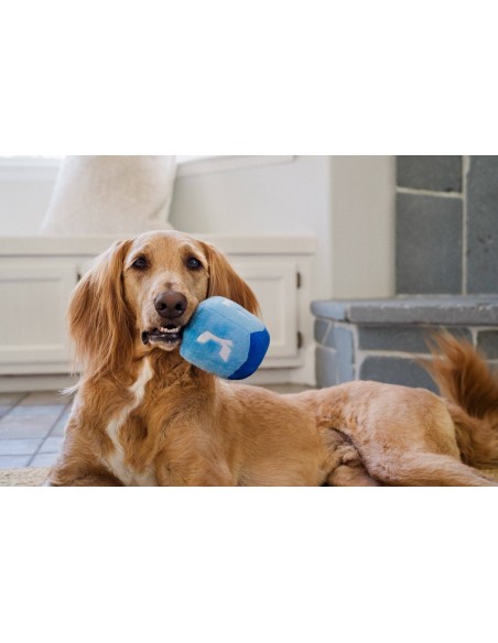 PLAY Paw-nukkah - Dreidel