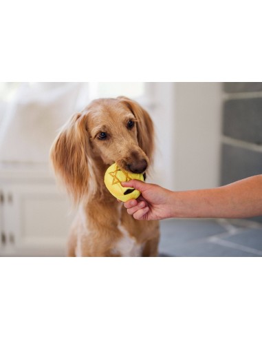 PLAY Paw-nukkah - Gelt Coins