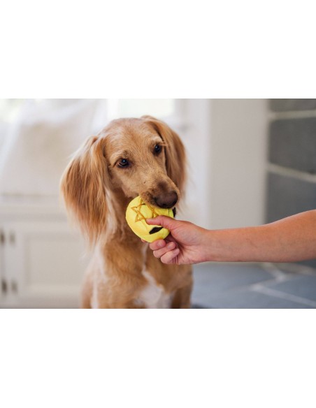 PLAY Paw-nukkah - Gelt Coins