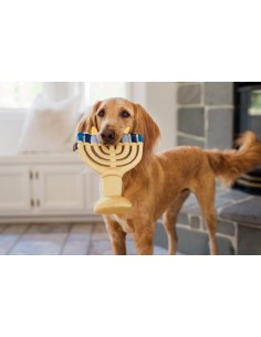 PLAY Paw-nukkah - Menorah 2