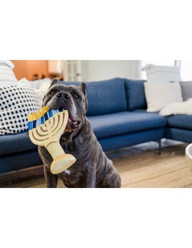 PLAY Paw-nukkah - Menorah