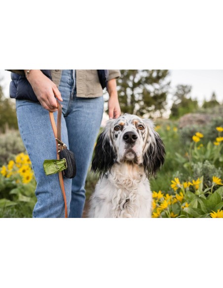 PLAY Poop Bag Dispenser - Kalahari Black
