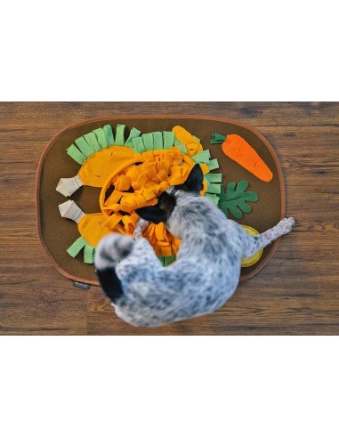 PLAY Snuffle Mat - Thanksgiving