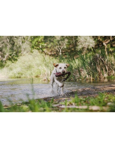 Outdoor Toy_Scout & About - Toss & Float - Vanilla_S
