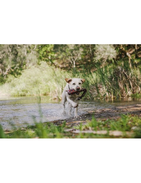 Outdoor Toy_Scout & About - Toss & Float - Vanilla_S