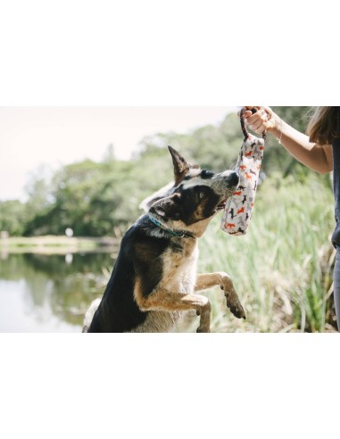 Outdoor Toy_Scout & About - Toss & Float - Vanilla_S