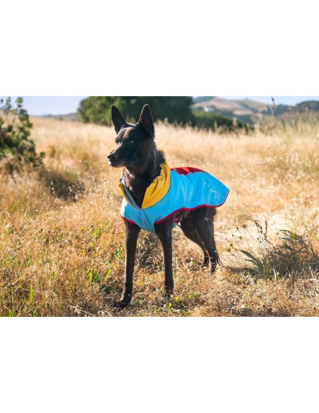 Trailblazer Coat - Moss - L