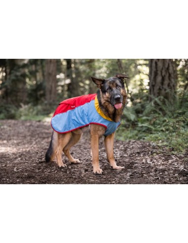 Trailblazer Coat - Moss - XL