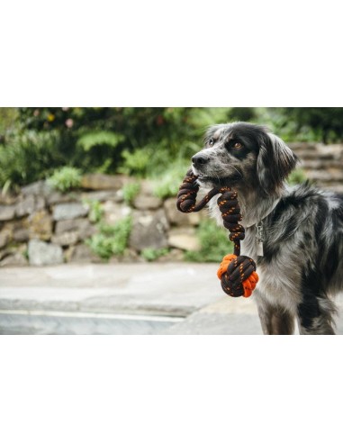 PLAY Rope Toy_Scout & About_Tug Ball_S