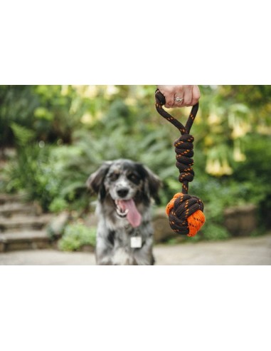 PLAY Rope Toy_Scout & About_Tug Ball_S