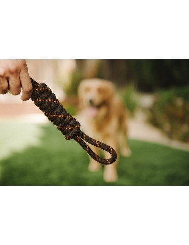 Rope Toy_Scout & About - Tug_L