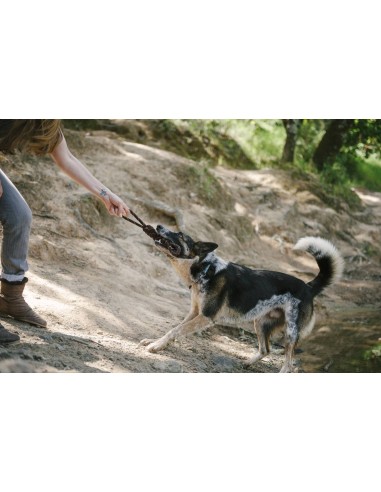 Rope Toy_Scout & About - Tug_L