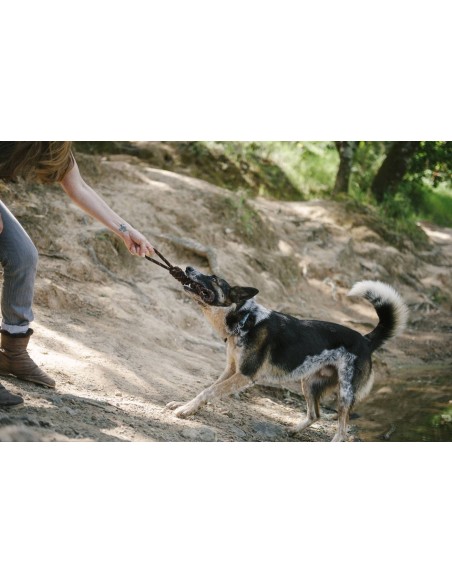 Rope Toy_Scout & About - Tug_L