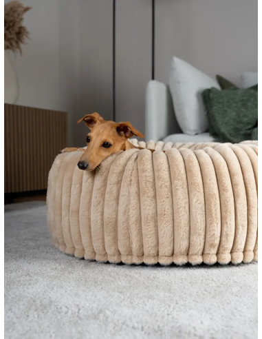 Biscuit Spot - Beige - S