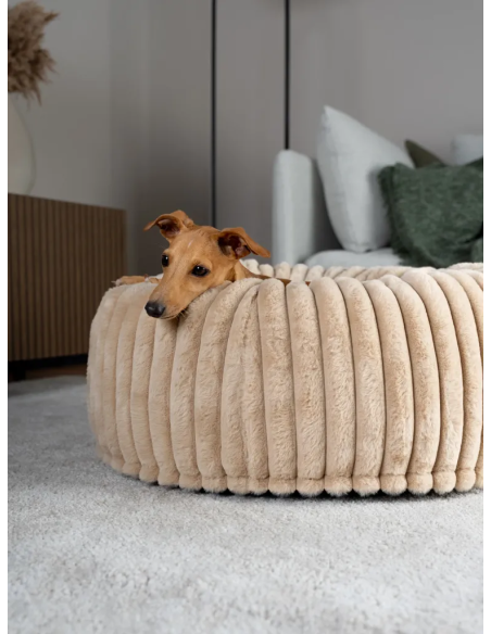 Biscuit Spot - Beige - S
