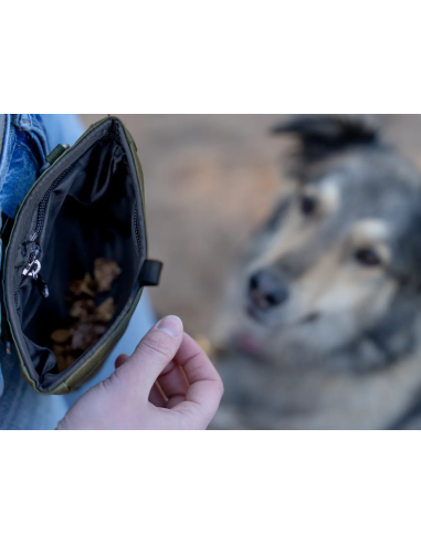 Snaxx treat bag – Olive