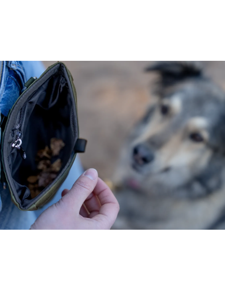 Snaxx treat bag – Olive