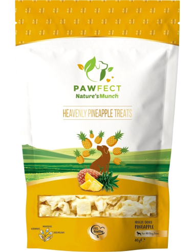 Pawfect Natures Munch Dog Treats PINEAPPLE 40 gr.