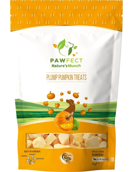 Pawfect Natures Munch Dog Treats PUMPKIN 20 gr.